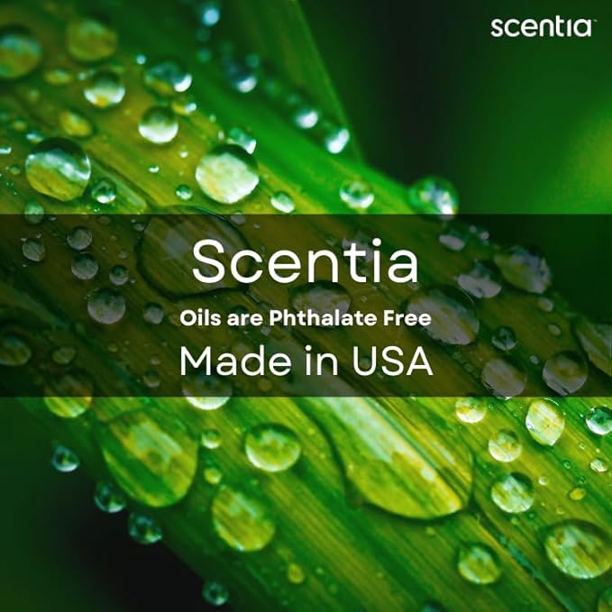 Christmas Fragrance Oil Set, Scentia Winter Fragrance Oils for Diffuser & Candle Making | Pine Frost, Gingerbread Bliss, Citrus Harmony Winter Scented Oils : 3x20ml Pack for Mothers Day Gift