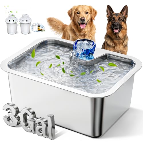 3 Gallon Stainless Steel Dog Water Fountain