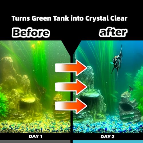 Aquarium Filter with 5W U