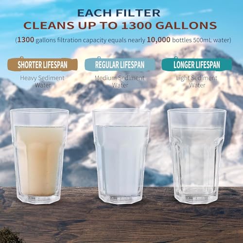 5 Pack Personal Water Filter Straw for Drinking Survival (5 Count)