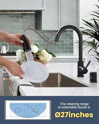 Kitchen Faucet with Air Gap