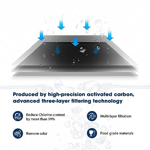 Pitcher Filters Compatible with LifeStraw