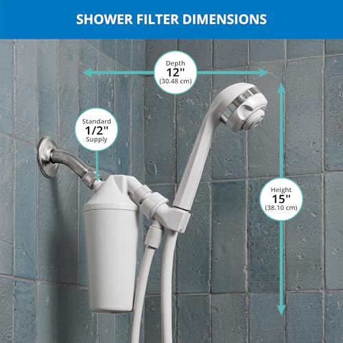 AQ 4105 Showerhead Filter System with Handheld Wand