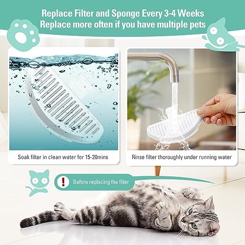 6 Pack Replacement Filters & 12 Pack Filter Sponges for 67oz