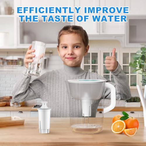 Water Filter Replacement Compatible with Brita Filter & Pitchers