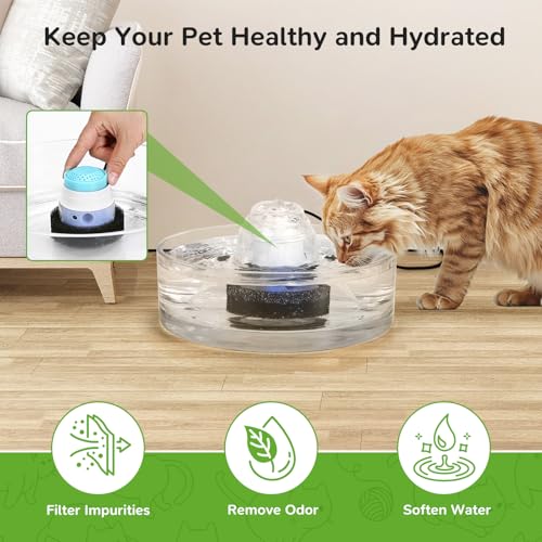 6 Packs Cat Fountain Filters & 6 Sponge Sets (3 Count)