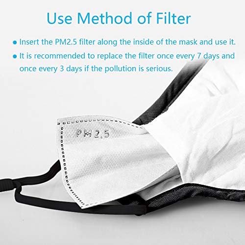 200 PCS PM2.5 Activated Carbon Face Mask Filter for Adults (200 Count)