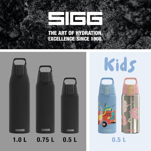 Stainless Steel Insulated Water Bottle
