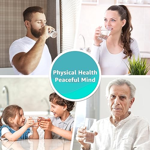 Black and Fluoride Water Filter (4 Count)