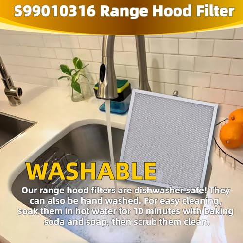 99010316 Range Hood Grease Filter (2 Count)