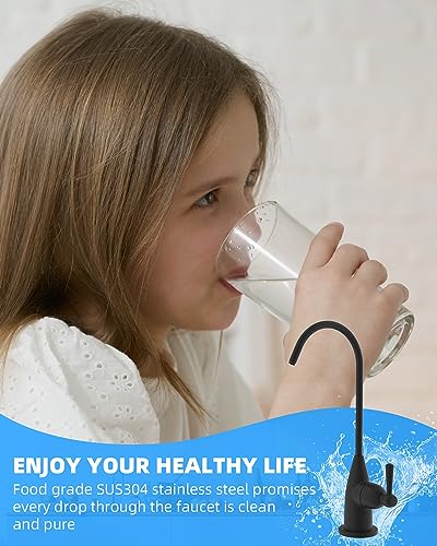 Drinking Water Faucet for Bar and Kitchen Sink