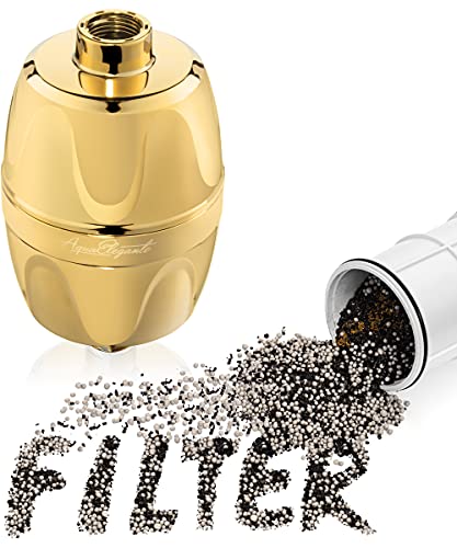 Chlorine Shower Water Filter