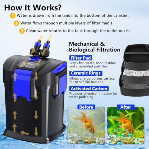 Canister Filters