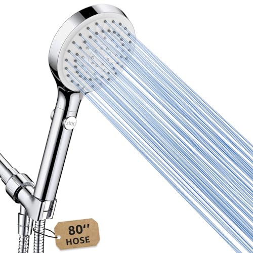 Shower Head with Handheld
