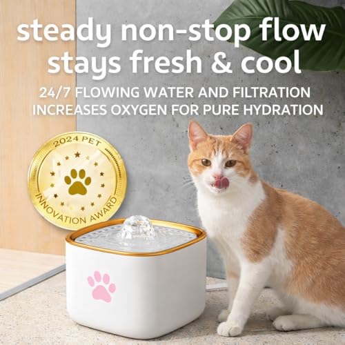 Cat Water Fountain