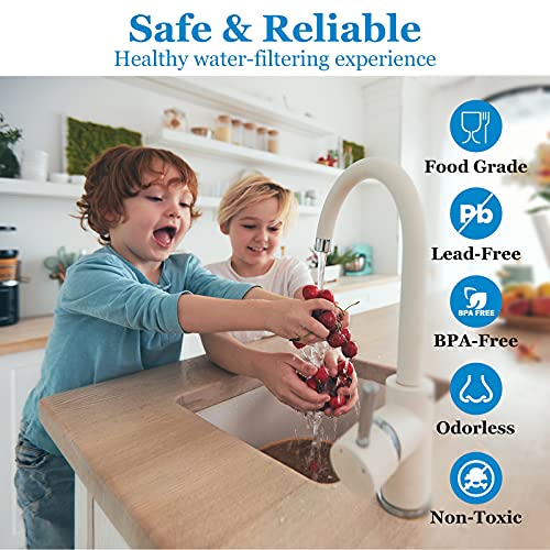 75 GPD RO Membrane Filter Replacement with Reverse Osmosis Housing
