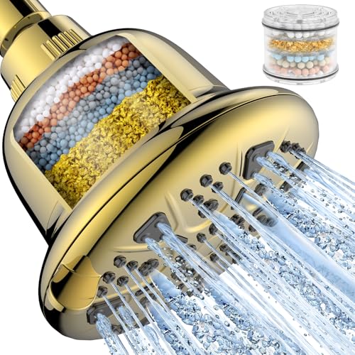 Filtered Shower Head