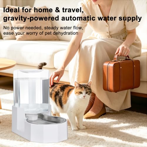 4L Stainless Steel Gravity Water Dispenser