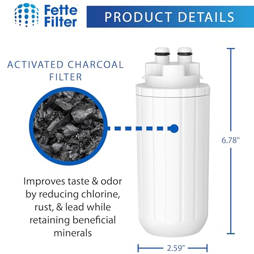 2 Pack Water Filter Replacement (2 Count)