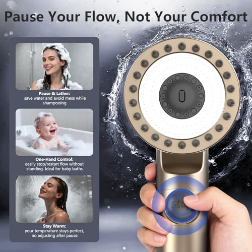 Filtered Shower Head with Handheld