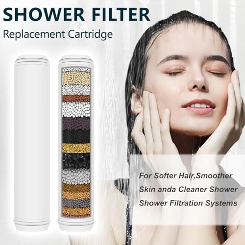 Shower Filter Replacement for Handheld Shower Head (2 Count)