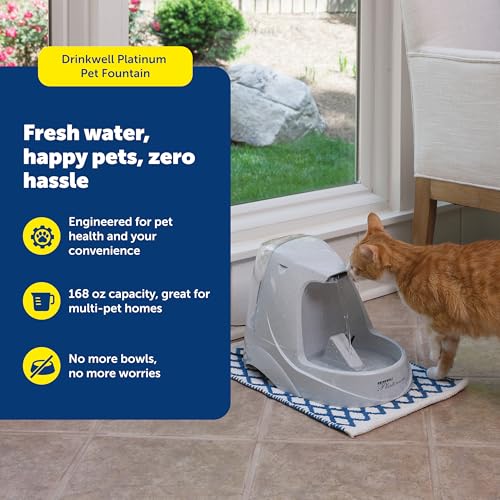 PetSafe Drinkwell Platinum Cat Water Fountain