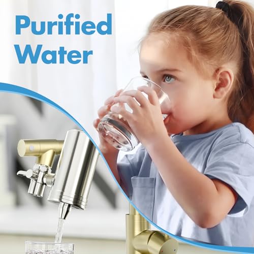 Gold Kitchen Faucet with Water Filter