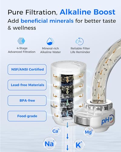 FC 02 Alkaline Water Filter for Sink Faucet with 4 Filters