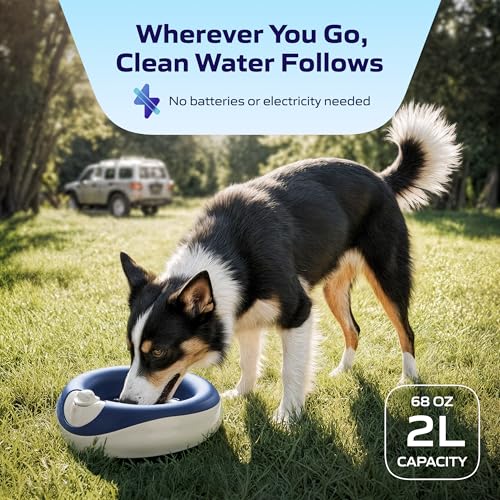 Maxi Filtered Dog Water Bowl