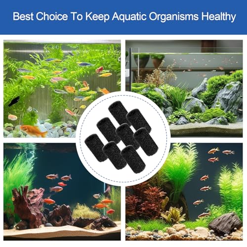 Pre Filter Sponge for Aquarium Shrimp Fry Fish Tank Filter Intake for Marina S10 (8 Count)