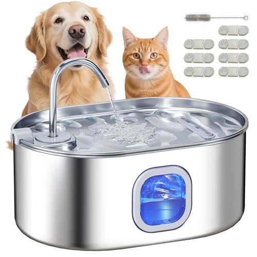 Cat Water Fountain