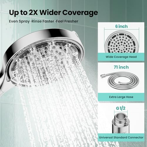 Handheld Shower Head