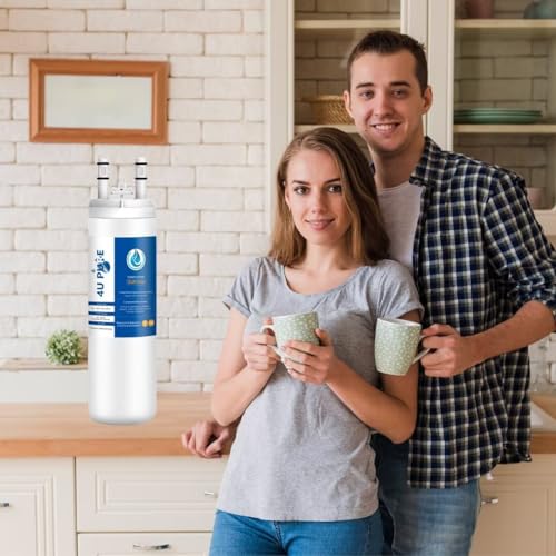 WF3CB Refrigerator Water Filter
