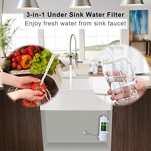 Full Flow Under Sink Water Filter