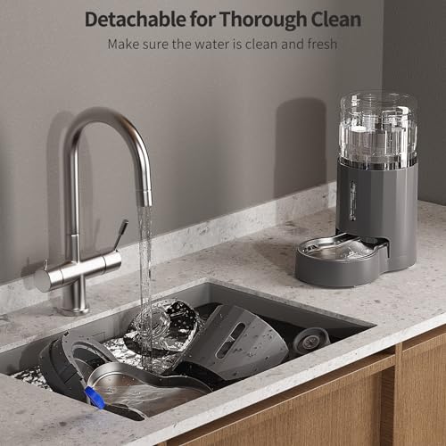 Cat Water Dispenser and Stainless Steel Bowl