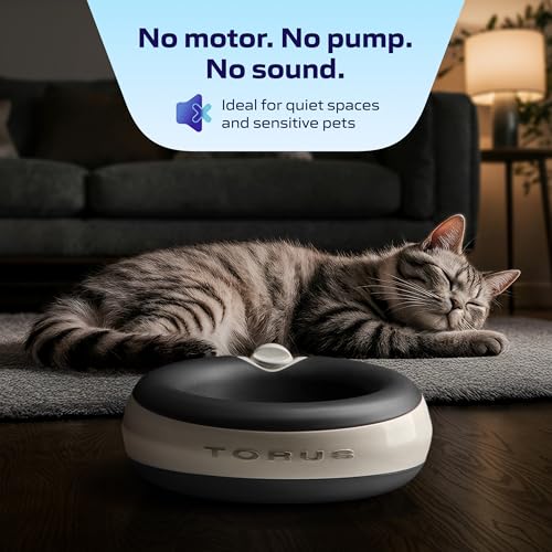 Maxi Portable Filtered Pet Water Bowl