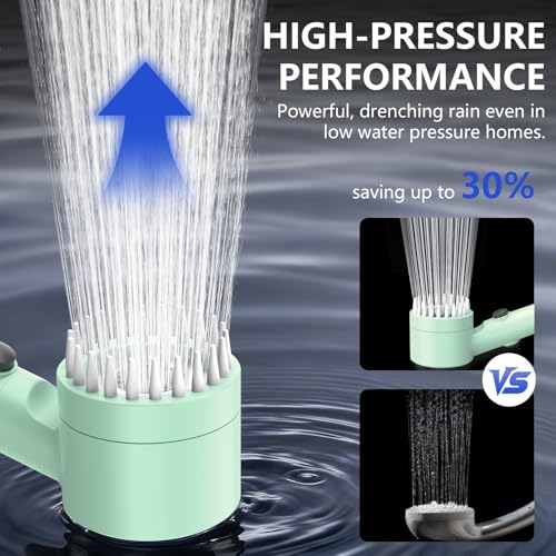 Filtered Shower Head with Handheld