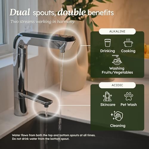 PL MAX Under Sink Water Ionizer