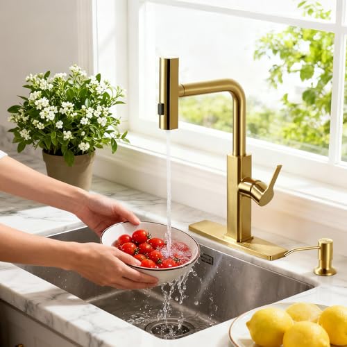 Kitchen Faucet with Pull Down Sprayer