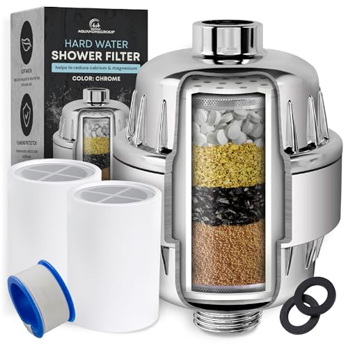 Shower Head Filter (2 Count)
