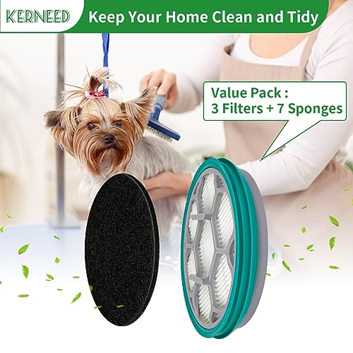 Hepa Filter Sponge Replacement Accessories for Neakasa (10 Count)
