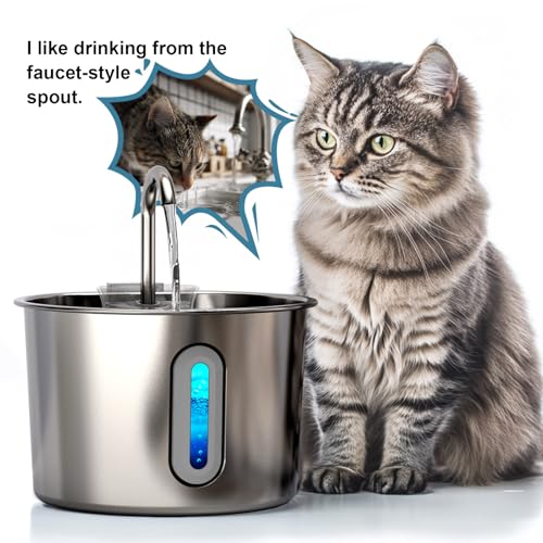 Cat Water Fountain