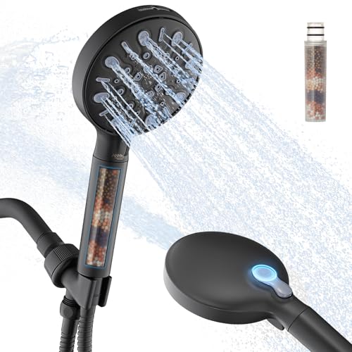 Filtered Shower Head with Handheld