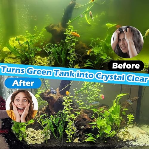 Large Aquarium U