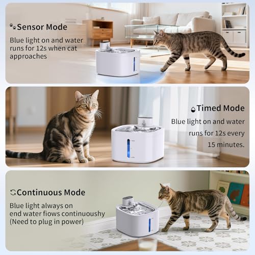 Cat Water Fountain Wireless