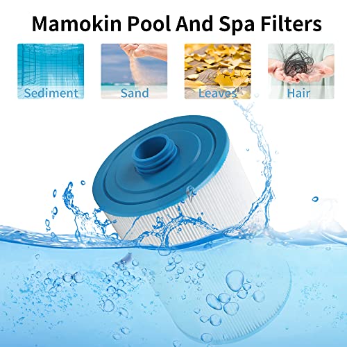 PWW50 Spa Filter (2 Count)