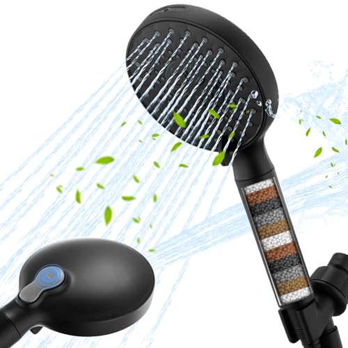 Filtered Shower Head with Handheld