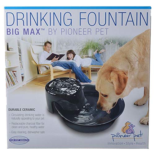 Pioneer Ceramic Drinking Fountain Big Max