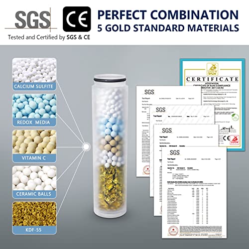 Shower Filter Replacement (2 Count)