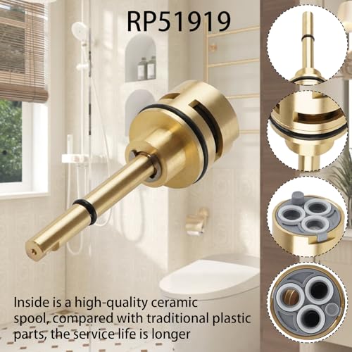 RP51919 6 Setting Diverter Cartridge